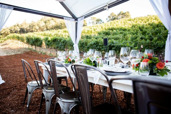Personnalisez vos verres pour vignoble avec un design unique